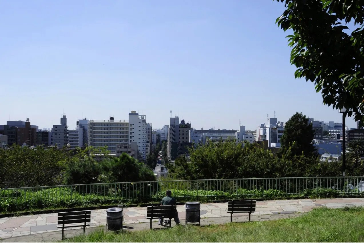 🏞️ 사이고야마 공원 이미지 1